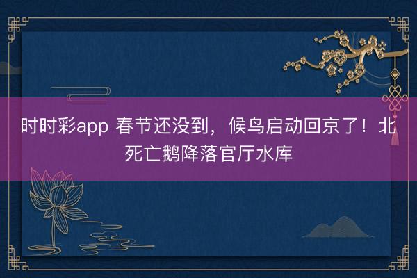 時時彩app 春節還沒到,候鳥啟動回京了!北死亡鵝降落官廳水庫