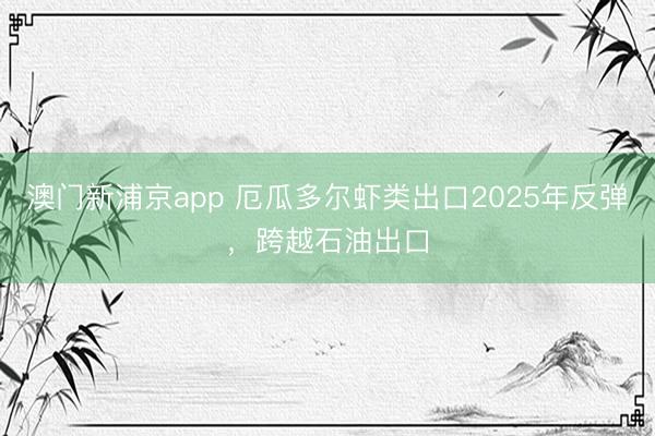 澳門新浦京app 厄瓜多爾蝦類出口2025年反彈，跨越石油出口