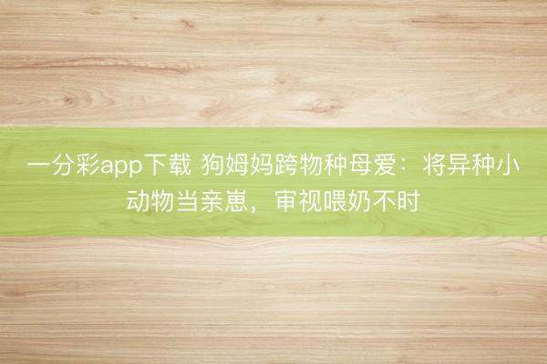 一分彩app下載 狗姆媽跨物種母愛：將異種小動(dòng)物當(dāng)親崽，審視喂奶不時(shí)